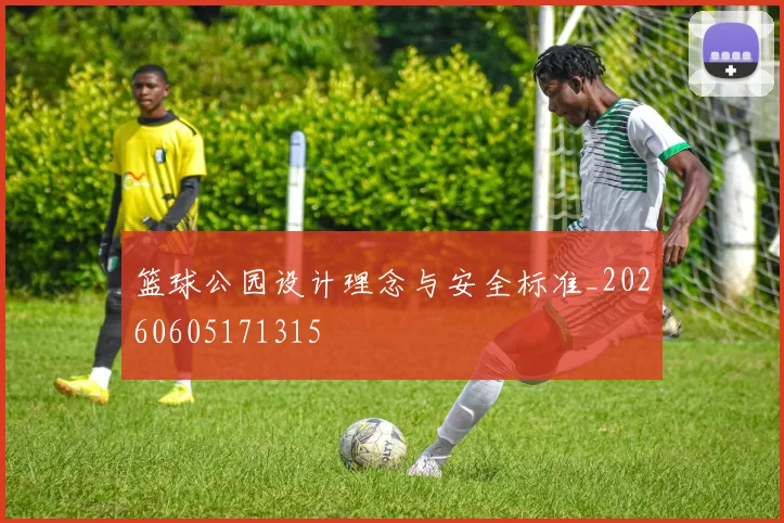 篮球公园设计理念与安全标准_20260605171315