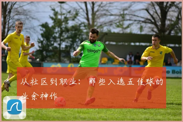 从社区到职业：那些入选五佳球的业余神作