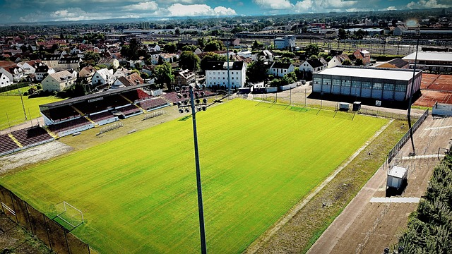 2025年中央一号文件发布 提出扎实推进乡村全面振兴.