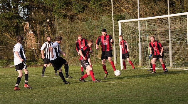 伤的轮椅冰 伤的轮椅冰