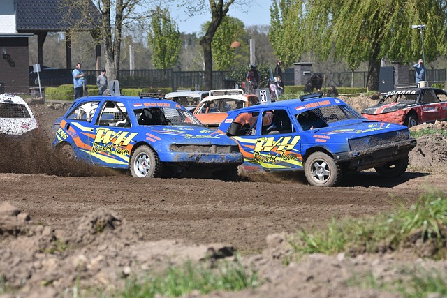 数球迷的热 数球迷的热