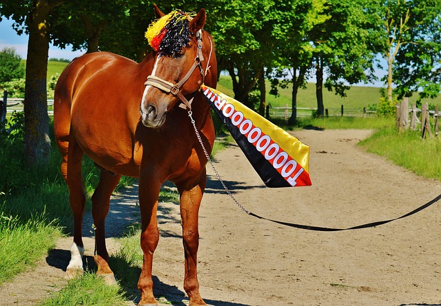 字母哥32+17导演14分逆转，雄鹿双杀国王锁定关键卡位战.